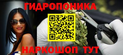 a pvp Абакан