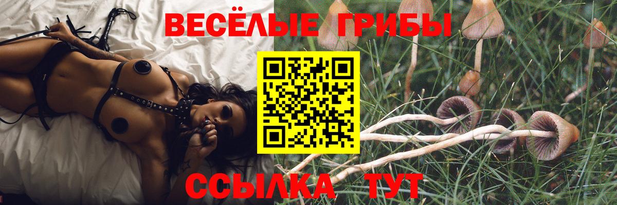 Алушта  Псилоцибиновые грибы Magic Shrooms  Вход с VPN 